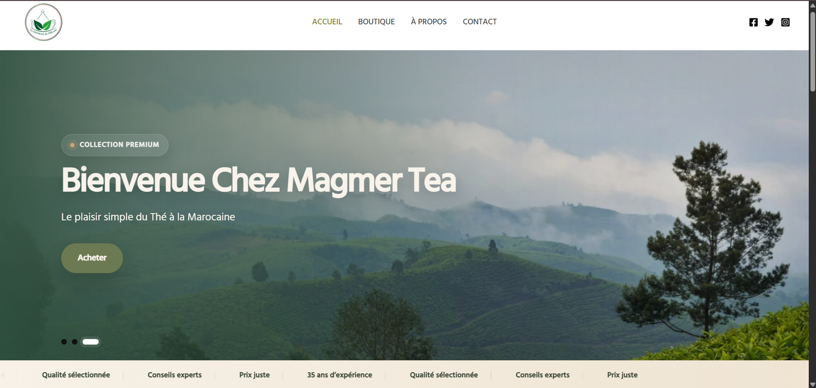 Aperçu du projet Magmer Tea — Site e-commerce · Boutique en ligne